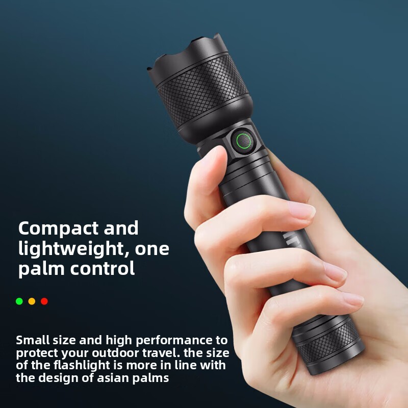 2025 BARU Philips SFL2188 LED  - Outdoor Lighting Fixtures ulasan dan harga