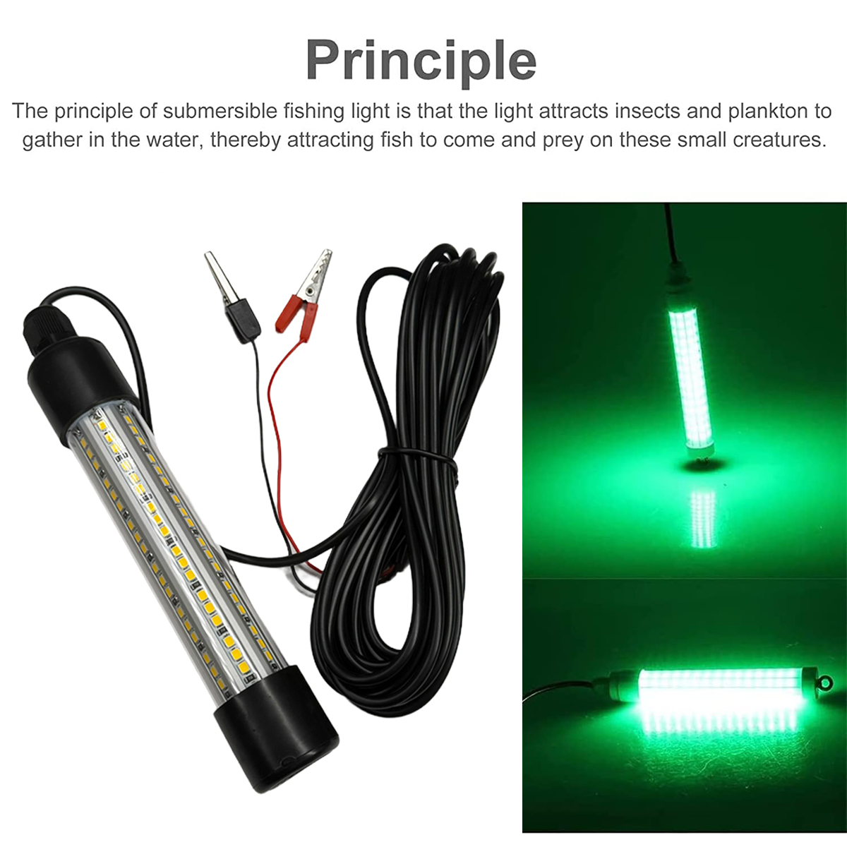 Lampu malam memancing bawah ai - Pond Light Submersible ulasan dan harga
